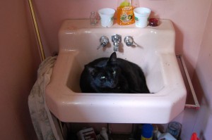 SinkBookie